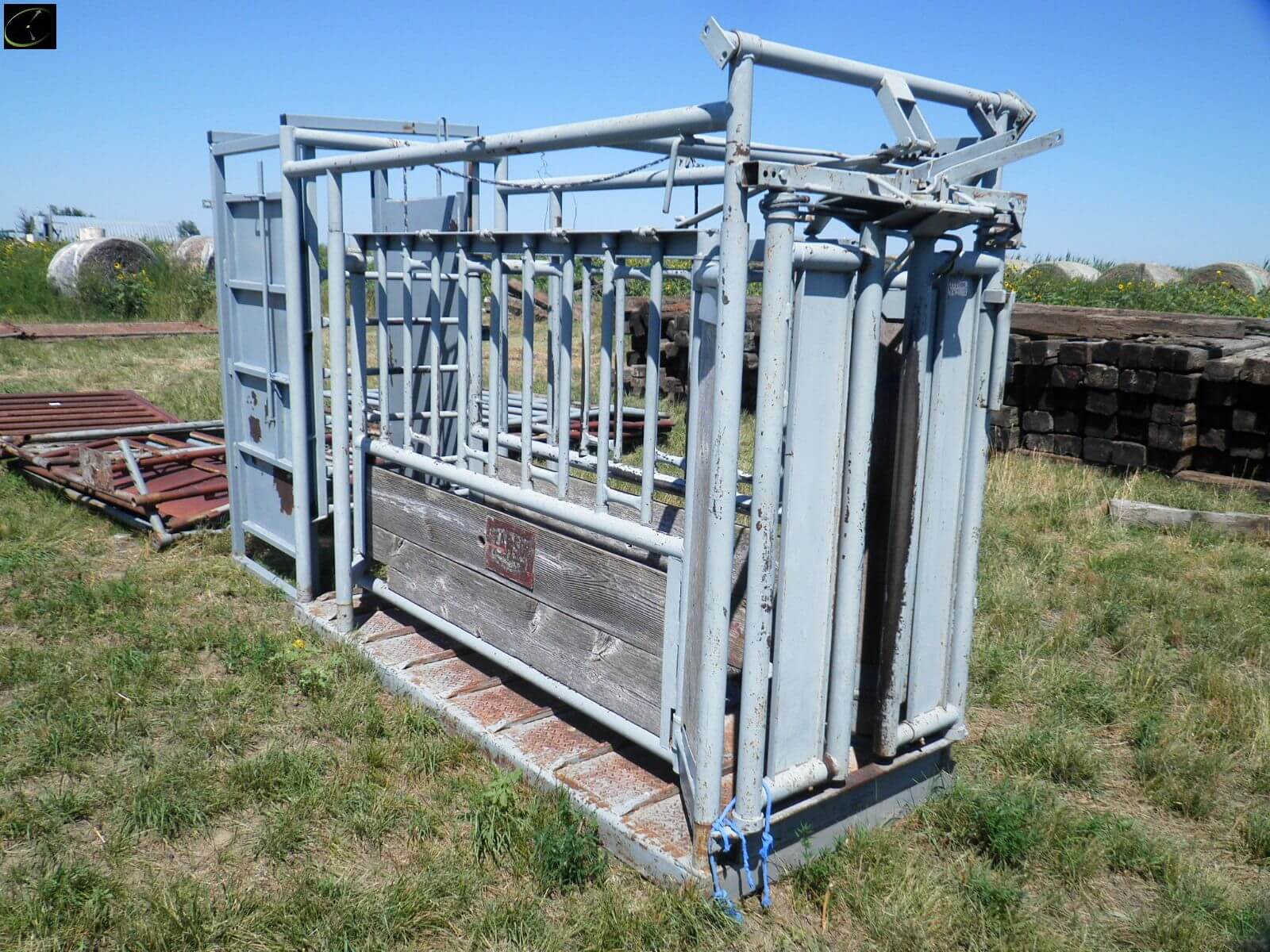 Pearson squeeze chute with palpation cage-image