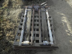 Pearson head catch-image