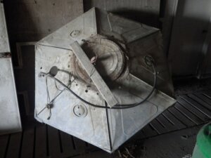 chicken brooder-image