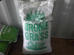1 bag of Brome Grass seed-image