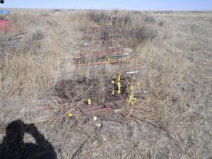 electric and T fence posts-image