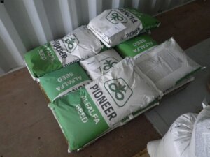 8 new bags of Pioneer 54B66 alfalfa seed-image